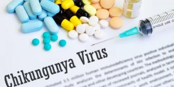चिकनगुनिया की पहली वैक्सीन को मंजूरी, हर साल होती है हजारों मौत, जानें लक्षण और बचाव